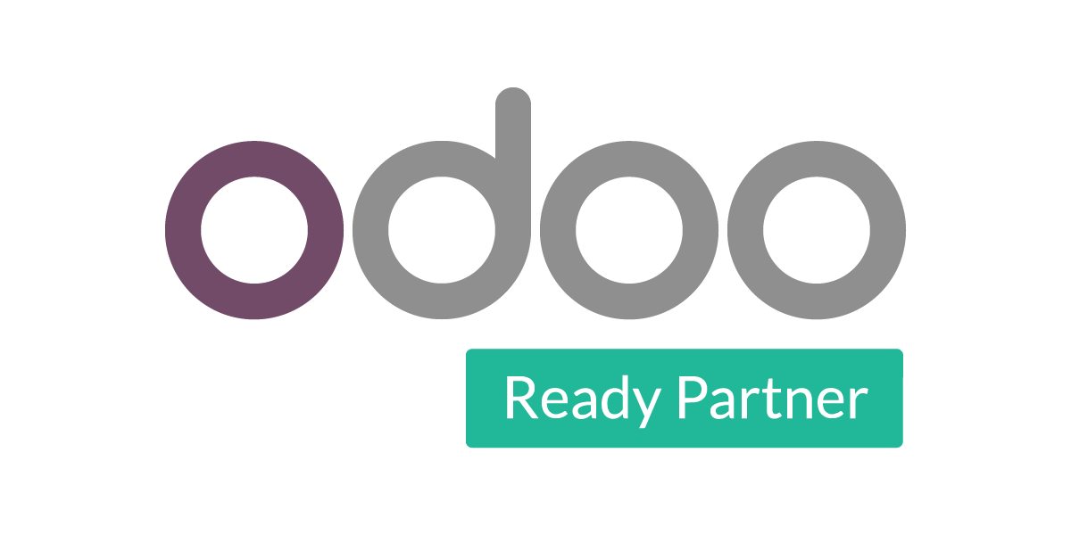 Esencial Byte Partner Odoo